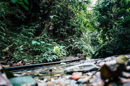Pokhara Nepal September 25, 2018 View of a path in the jungle in Pokhara hills Nepalの写真素材