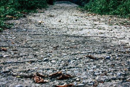 Pokhara Nepal September 25, 2018 View of a path in the jungle in Pokhara hills Nepalの写真素材