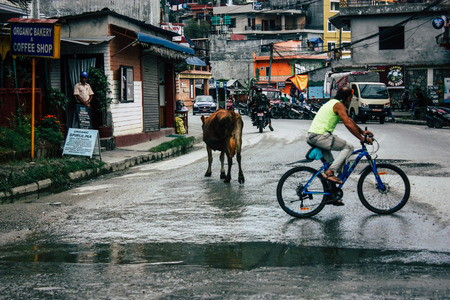 Kathmandu Nepal October 12, 2018 View of unknown Nepali people driving a bicycle in Kathmandu in the morningのeditorial素材