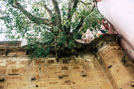 Varanasi India November 10, 2018 View of the building located at the ghats of Varanasi front the Ganges river in the afternoonのeditorial素材