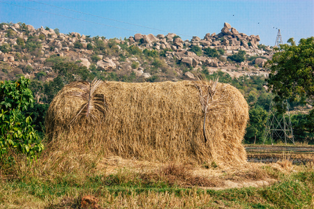 Landscape and nature around Hampi in Karnataka southern India