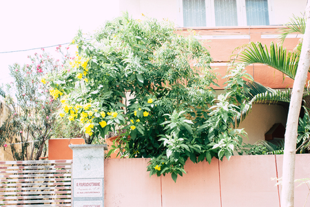 Pondicherry Tamil Nadu India January 21, 2018 View of the Labourdonnais street located at White Town district in the french colonial city of Pondicherry in the morningのeditorial素材