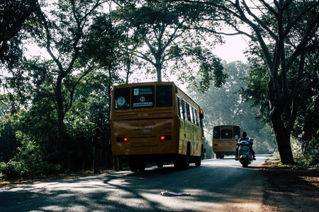 Auroville Tamil Nadu January 24, 2019 Auroville Tamil Nadu Auroville driving in southern India Auroville Tamil Nadu January 24, 2019 Auroville driving in southern India in the afternoonのeditorial素材