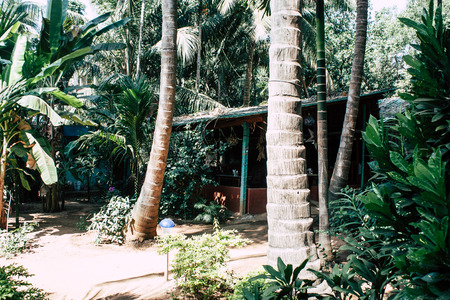 Om beach Gokarna Karnataka India January 28, 2019 View of the jungle cafe guesthouse in Om beach in the morningのeditorial素材