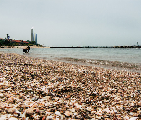 Sdot Yam Israel April 27, 2019 View of unknowns kid having fun in the beach of Sdot Yam kibbutz at...