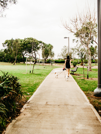 Tel Aviv Israel May 02, 2019 View of nature in a public garden of Tel Aviv in the afternoonの写真素材