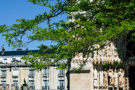 Reims France May 15, 2019 Close up of the leaves of a tree growing on the forecourt of the Notre Dame de Reims Cathedral in the afternoonのeditorial素材