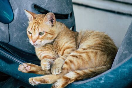View of abandoned domestic  living in the streets of Tel Aviv in the afternoonの写真素材