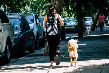Tel Aviv Israel August 17, 2019 View of unknown Israeli people and dog walking in the streets of Tel Aviv in the afternoonのeditorial素材