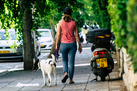 Tel Aviv Israel August 17, 2019 View of unknown Israeli people and dog walking in the streets of Tel Aviv in the afternoonのeditorial素材