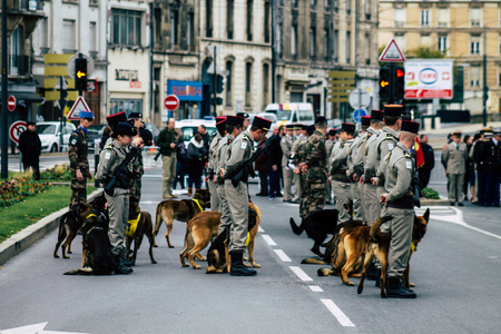 Reims France November 11, 2019 View of soldiers and military combat dog participating in the commemoration ceremony of the Armistice in the morning in Reimsのeditorial素材