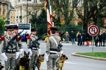 Reims France November 11, 2019 View of soldiers and military combat dog participating in the commemoration ceremony of the Armistice in the morning in Reimsのeditorial素材