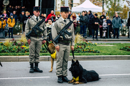 Reims France November 11, 2019 View of soldiers and military combat dog participating in the commemoration ceremony of the Armistice in the morning in Reimsのeditorial素材