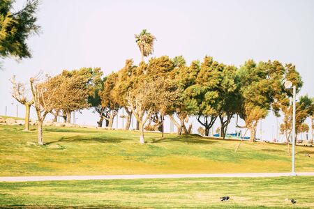 Tel Aviv Israel December 25, 2019 View of the Charles Clore Park in Tel Aviv one afternoon in winterの写真素材