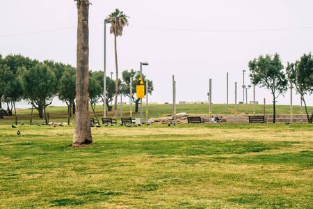 Tel Aviv Israel December 25, 2019 View of the Charles Clore Park in Tel Aviv one afternoon in winterの写真素材