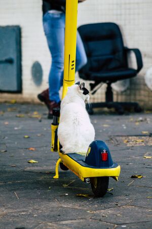 Tel Aviv Israel January 03, 2020 View of an electric scooter parked in the streets of Tel Aviv in the afternoonの写真素材