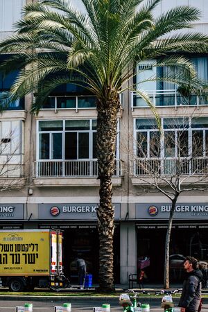 Tel Aviv Israel February 21, 2020 View of palm tree growing in the streets of Tel Aviv in the...