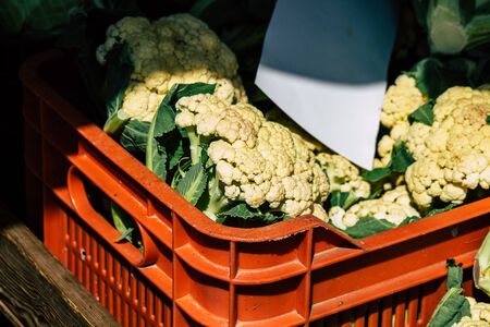 View of various vegetables sold at the market of Limassol in the morningの写真素材
