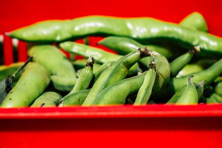 View of various vegetables sold at the market of Limassol in the morningの写真素材
