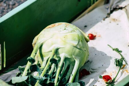 Limassol Cyprus March 14, 2020 View of various vegetables sold at the market of Limassol in the morningの写真素材