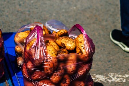 View of various vegetables sold at the market of Limassol in the morningの写真素材