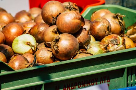 View of various vegetables sold at the market of Limassol in the morningの写真素材