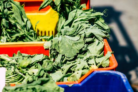 View of various vegetables sold at the market of Limassol in the morningの写真素材
