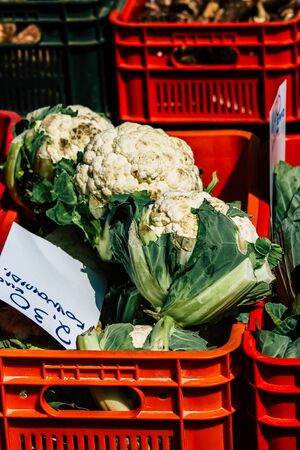 View of various vegetables sold at the market of Limassol in the morningの写真素材