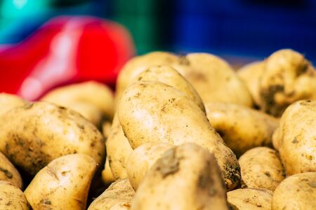 View of various vegetables sold at the market of Limassol in the morningの写真素材