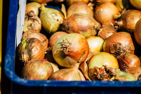 Limassol Cyprus March 14, 2020 View of various vegetables sold at the market of Limassol in the morningの写真素材