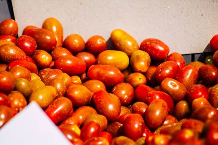 View of various vegetables sold at the market of Limassol in the morningの写真素材