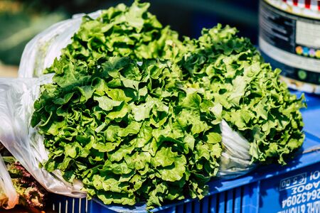 View of various vegetables sold at the market of Limassol in the morningの写真素材