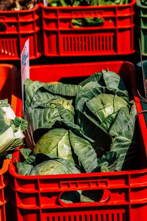 Limassol Cyprus March 14, 2020 View of various vegetables sold at the market of Limassol in the morningの写真素材