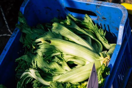 Limassol Cyprus March 14, 2020 View of various vegetables sold at the market of Limassol in the...