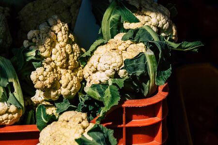 View of various vegetables sold at the market of Limassol in the morningの写真素材