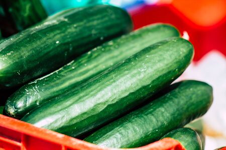 View of various vegetables sold at the market of Limassol in the morningの写真素材