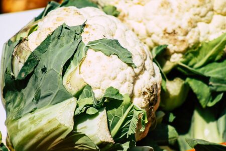 View of various vegetables sold at the market of Limassol in the morningの写真素材