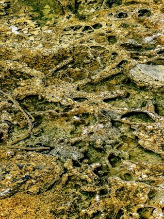 Dead Sea Israel April 21, 2018 Closeup of crystal salt from the Dead Sea in Israel