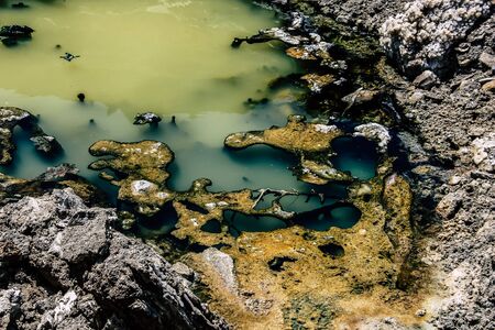 Dead Sea Israel April 21, 2018 Closeup of crystal salt from the Dead Sea in Israelの写真素材