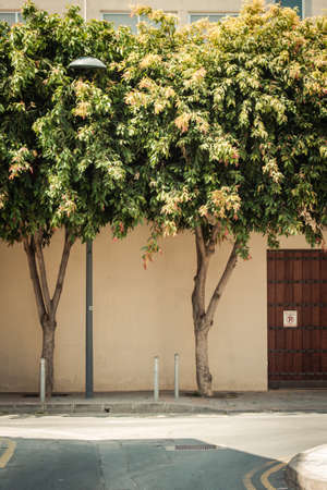 Limassol Cyprus April 16, 2020 View of empty streets of Limassol during the quarantine of the population to prevent the spread of coronavirus in Cyprus islandのeditorial素材