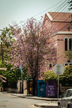 Limassol Cyprus April 16, 2020 View of empty streets of Limassol during the quarantine of the population to prevent the spread of coronavirus in Cyprus islandのeditorial素材