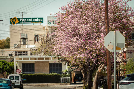 Limassol Cyprus April 16, 2020 View of empty streets of Limassol during the quarantine of the population to prevent the spread of coronavirus in Cyprus islandのeditorial素材