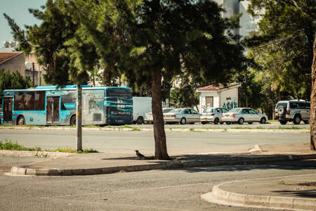 Limassol Cyprus April 18, 2020 View of empty Saturday street market of Limassol during the quarantine of the population to prevent the spread of coronavirus in Cyprus islandのeditorial素材