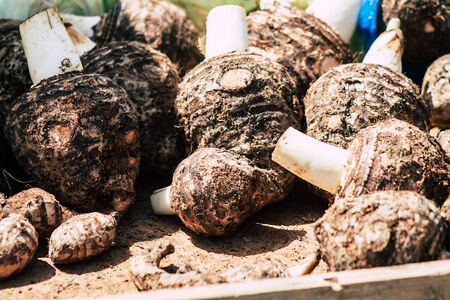 Limassol Cyprus May 16, 2020 View of various vegetables sold at the market of Limassol in the morningの写真素材