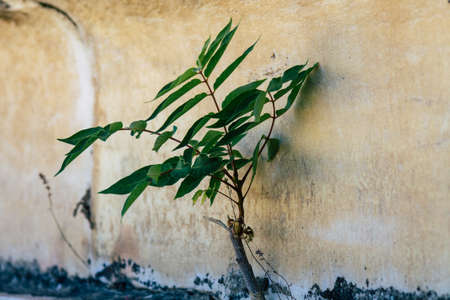 Athens Greece September 2, 2019 View of the Panathenaic Stadium or Kallimarmaro, it is the only stadium in the world built entirely of marbleのeditorial素材