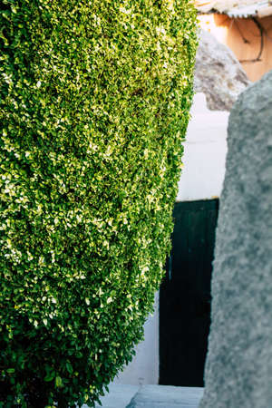 Athens Greece September 4, 2019 View of colorful facade of a building in the Plaka neighborhood in the late afternoonのeditorial素材