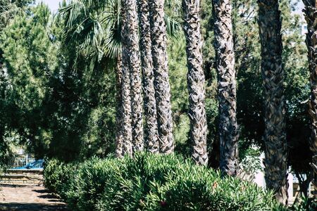 Limassol Cyprus May 28, 2020 View of the municipal public garden located on the coastal avenue right...