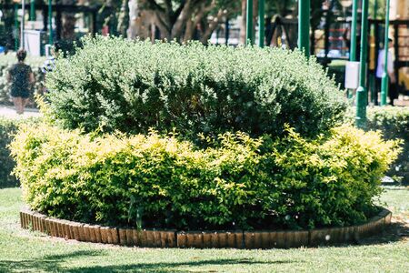 Limassol Cyprus May 28, 2020 View of the municipal public garden located on the coastal avenue right in the heart of the city of Limassol in Cyprus islandの写真素材