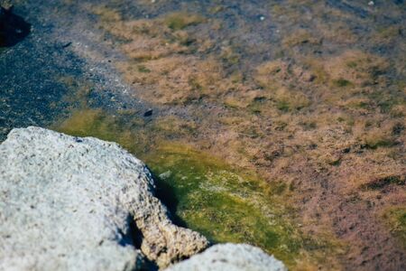Limassol Cyprus June 03, 2020 View of Limassol Salt Lake, the largest inland body of water on the island of Cyprusの写真素材