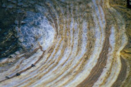 Limassol Cyprus June 03, 2020 View of Limassol Salt Lake, the largest inland body of water on the island of Cyprusの写真素材